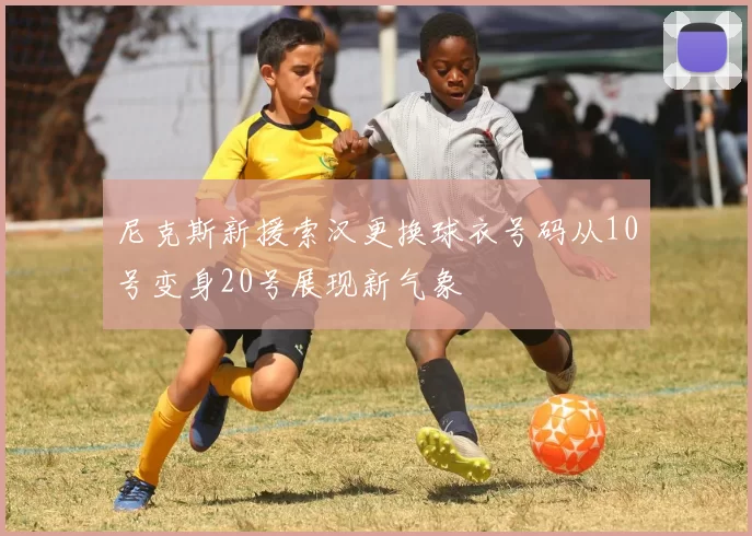 尼克斯新援索汉更换球衣号码从10号变身20号展现新气象