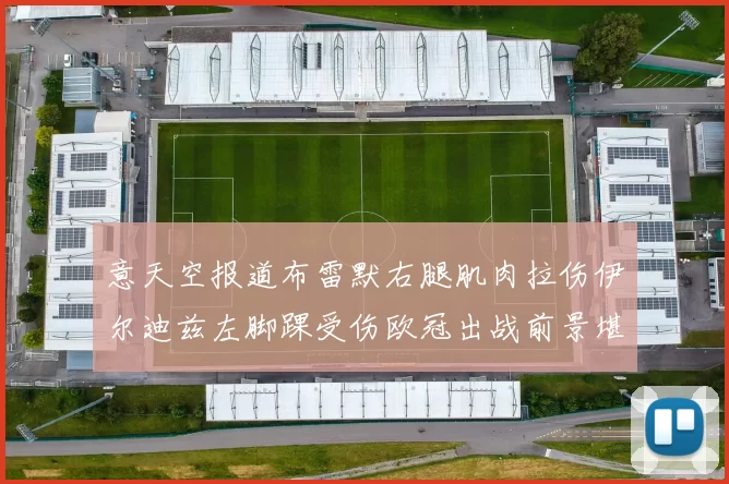 意天空报道布雷默右腿肌肉拉伤伊尔迪兹左脚踝受伤欧冠出战前景堪忧